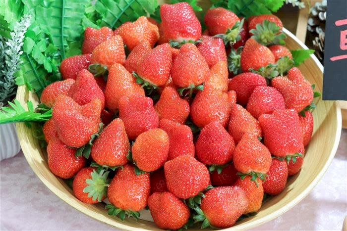 2026內湖草莓季盛大開幕！春季採果新體驗等您來享受