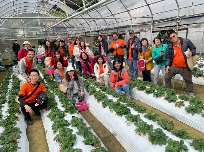 草莓控必追！2026內湖草莓季「莓野樂園」開跑　線上刮刮卡最高折500元