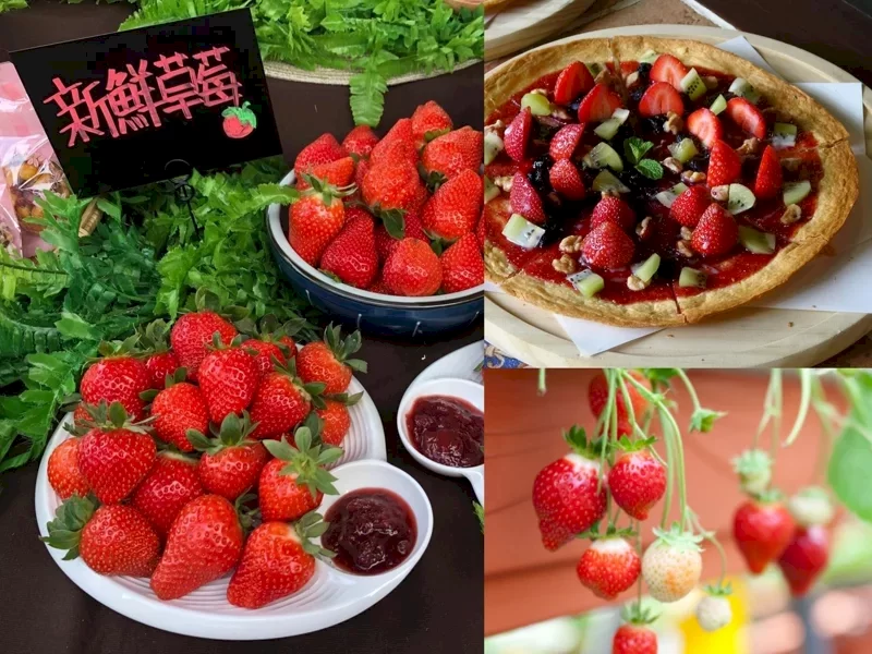 2023內湖草莓季來囉！20家農園享受各式美食飲料，加好友再抽500元折價抵用券