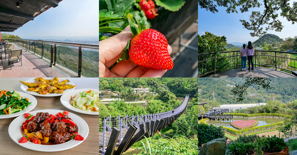 內湖草莓季｜菩提園有機農場,碧山巖觀景台,白石湖吊橋,同心池,夫妻樹