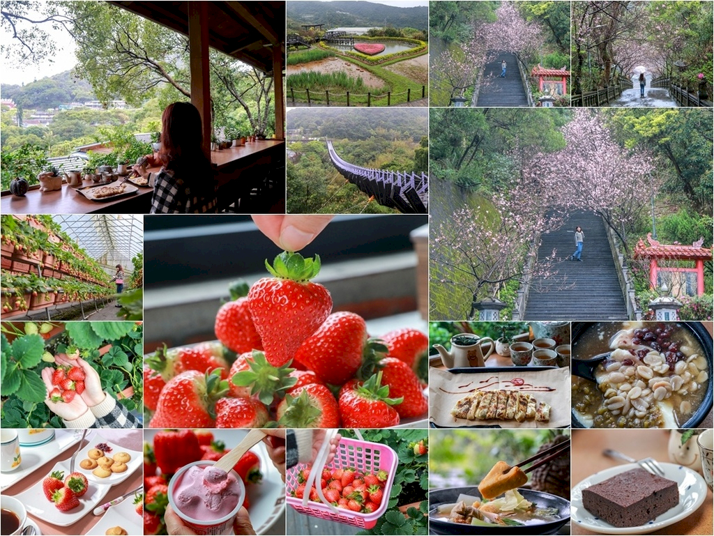 內湖一日遊│內湖草莓季》一年一度的內湖草莓季與櫻花同步放送 來碧山巖賞櫻花、採草莓【白石湖景點推薦】