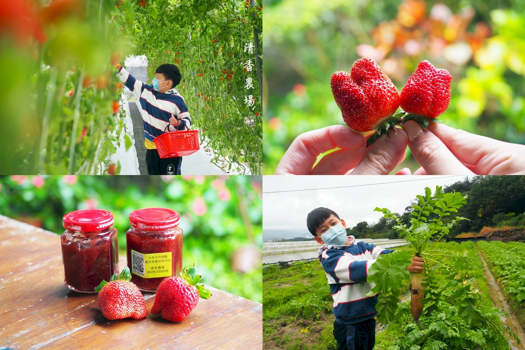 【台北內湖區】內湖草莓季開跑,內湖草莓園推薦♥️清香休閒農場♥️來這裡採草莓.拔蘿蔔.採番茄.草莓果醬DIY,甲蟲彩繪DIY.玩一整天都不無聊.內湖半日遊一日遊推薦